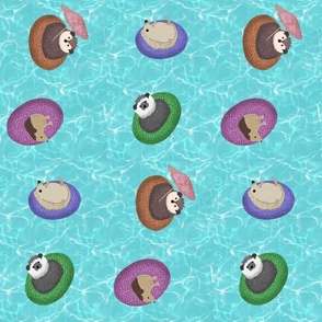 Hedgehog Pool Party