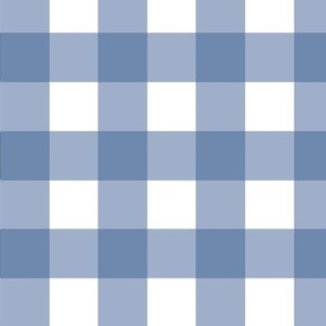 Gingham Pattern - Large - Integra Blue