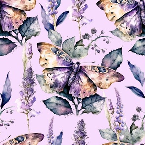 Lavender Butterfly Garden