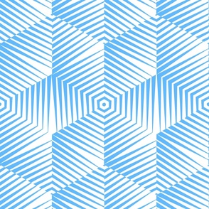 Op Art Hexagon Striped Star in Baby Blue