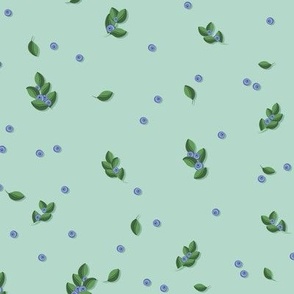 Blueberry sprigs on a light blue-green background