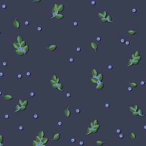 Blueberry sprigs on a dark gray-blue background