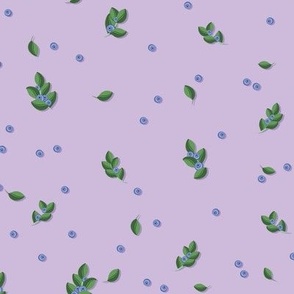 Blueberry sprigs on a lilac background