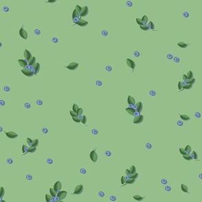 Blueberry sprigs on a green background