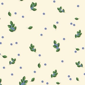 Blueberry sprigs on a light yellow background