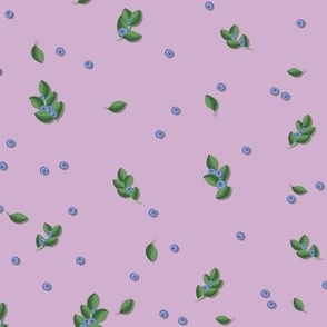 Blueberry sprigs on a dark lilac background