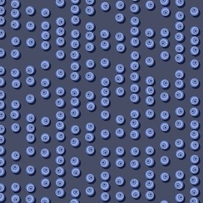 Blueberries arranged in stripes on a dark blue background