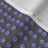 Blueberries arranged in stripes on a brown background