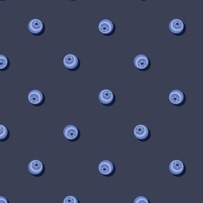 Blueberries in polka dot style on dark blue background