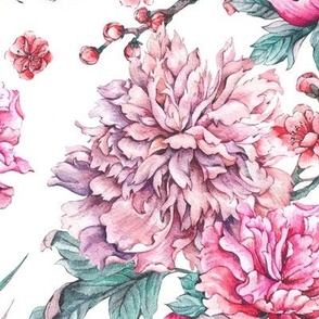 Gentle pink peonies on white big scale