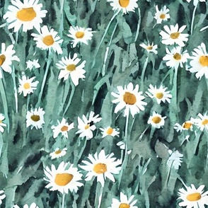 windy teal daisies