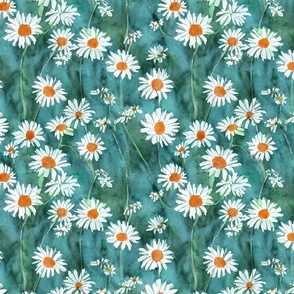 teal watercolor daisies