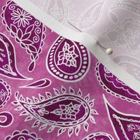 White Fancy Paisleys Outlines Shades of Jam on Berry Pink