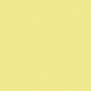 Textured Yellow Coordinate