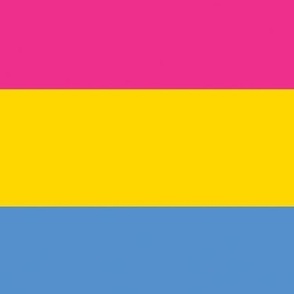 pan flag,pansexual flag large scale fabric, wallpaper