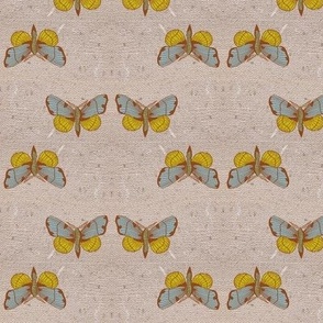 Geometric butterflies rustic design /small scale