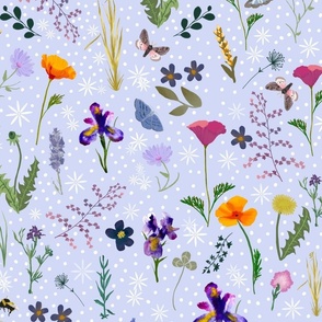 Large Pollinator Garden, Lavender 