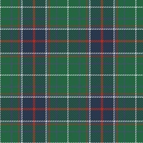 Tennessee Official State Tartan Plaid