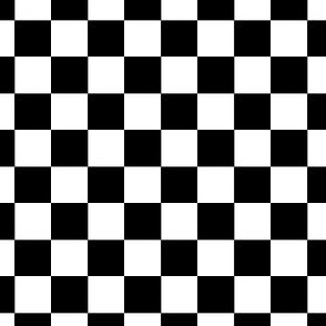Black and White Checkerboard