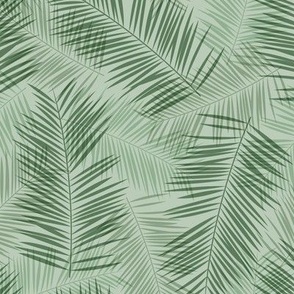 Tropical palm leaves - abstract surf garden in green pine