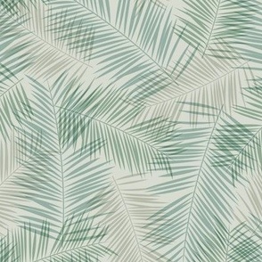 Tropical palm leaves - abstract surf garden in soft sage green
