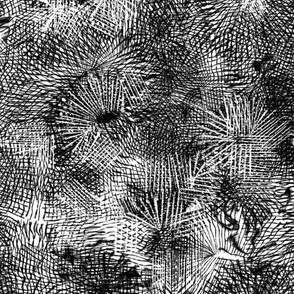 black and white floral sketch botanical floral texture