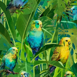 Budgies Summer Jungle Trip Birds In A Tropical Paradise