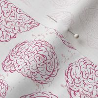 Brains Brain Brainy neurology 