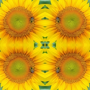 Sunflower Bee Symmetry (landscape)