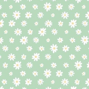 Medium | Daisy Scatter Pattern on Green