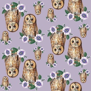 Odd Brown Owls on lavander with florals