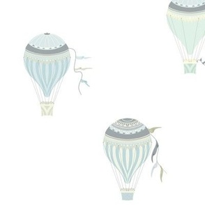 Hot Air Balloons-08