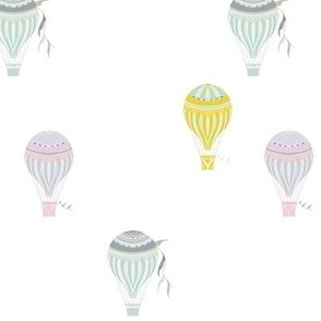 Hot Air Balloons-12