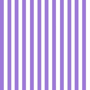 Tiger Fever Purple Stripe 