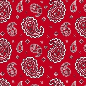 Western paisley red small scale