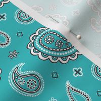 Western paisley turquoise small scale