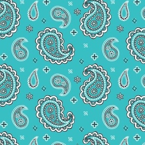 Western paisley turquoise small scale