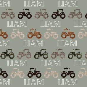Liam: Cheque Font on Tractors Sage, Stone, Mud, Brown, Green Olive, Umber
