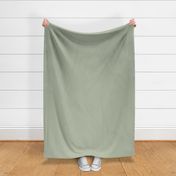 solid - sage green - faux linen