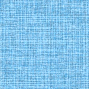 Solid Blue Plain Blue Natural Texture Small Stripes and Checks Grunge Pastel Baby Light Cornflower Blue 8CC6FF Fresh Modern Abstract Geometric