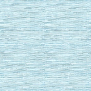 Grasscloth Texture _HORIZONTAL _Coastal BEACH HOUSE light BLUE