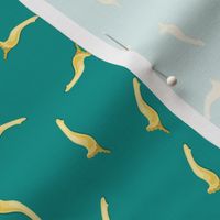 Pasta Campanelleon on a dark turquoise background, small scale