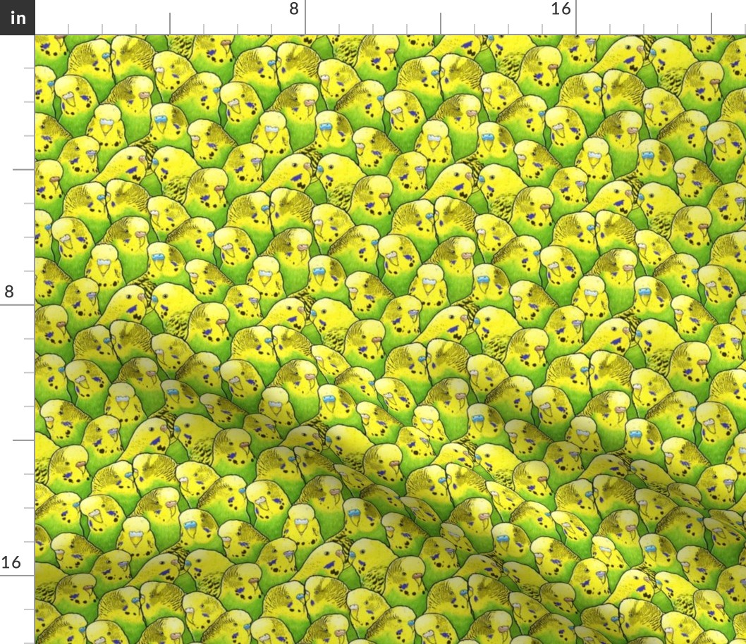 [Small] Green Yellow Budgies Parakeet