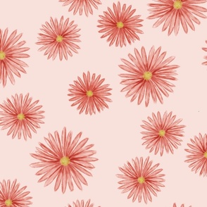 Coral Watercolor Daisies on Blush