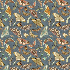 Butterflies and Moths on a gray-blue background, smaller scale