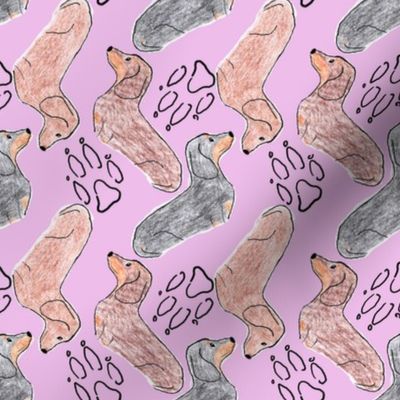 Dachshund zigzag - lavender