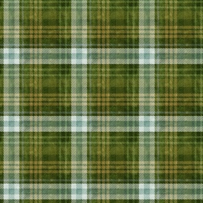Moss-Scape- Olive Green Plaid- Regular Scale