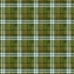 Moss-Scape- Olive Green Plaid- Small Scale