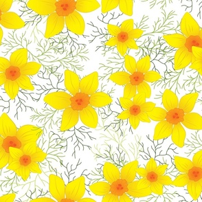 spring-daffodil