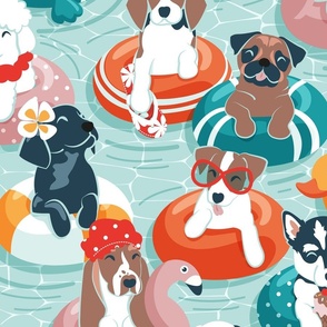 Large jumbo scale // Summer pool pawty // aqua background dog breeds in vacations playing on swimming pool floats // Labrador beagle dachshund jack Russell Dalmatian welsh corgi pug greyhound basset hound husky 